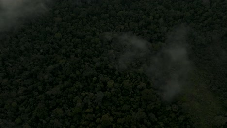 Toma-Aérea-Inclinada-Hacia-Arriba-De-La-Profunda-Selva-Amazónica-Y-Densas-Nubes-En-El-Cielo-Con-Luz-Solar-Como-Telón-De-Fondo