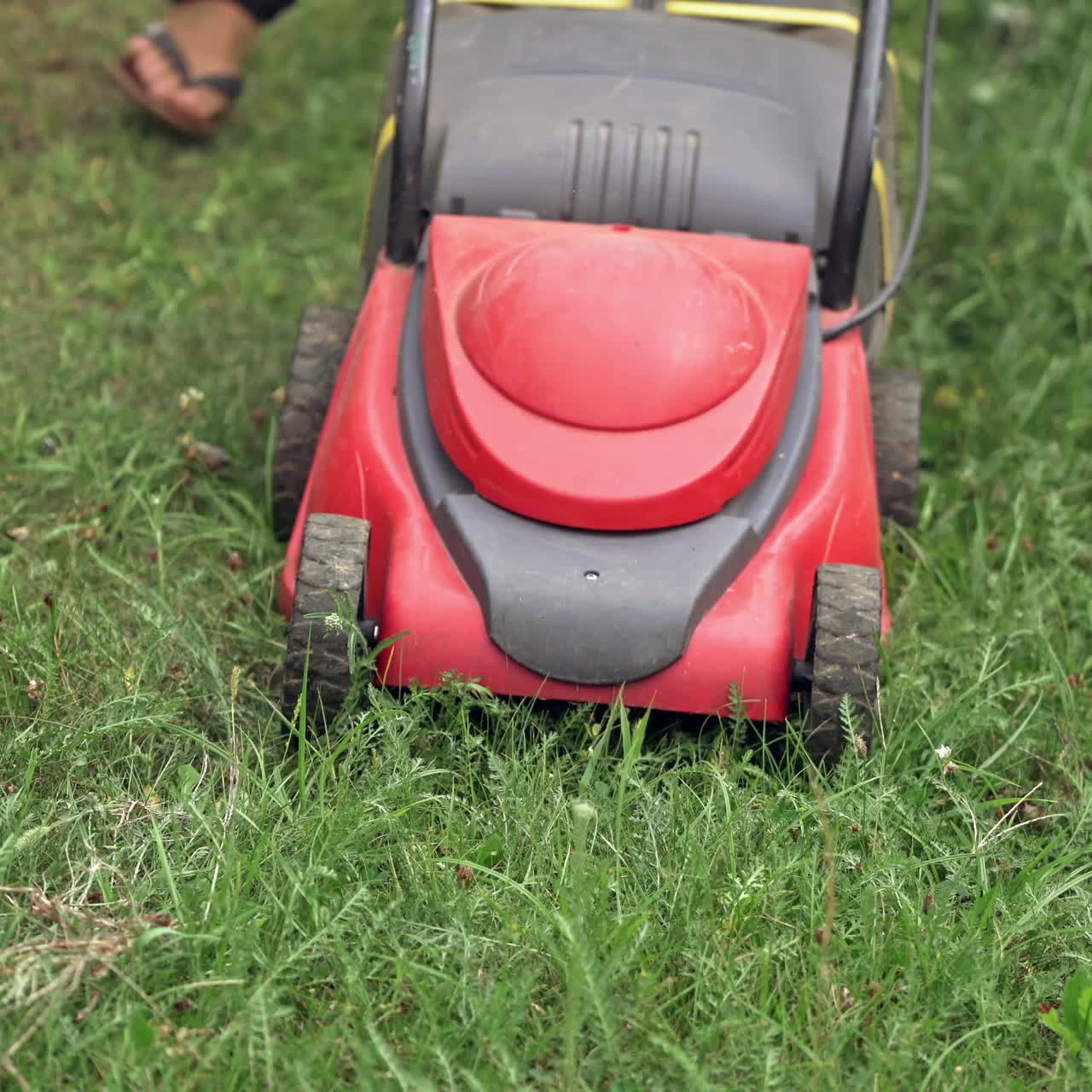 Red lawn mower in the garden. Mowing lawns.