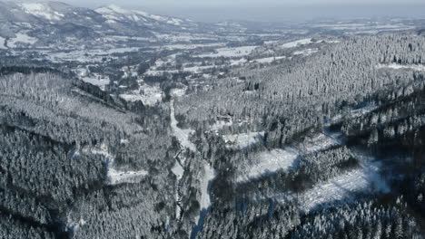 toma aérea de montañas y bosques cubiertos de nieve, invierno en la hermosa república checa