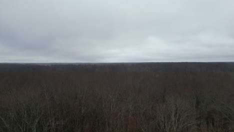 Aerial-shot-flying-over-dead-winter-trees-with-a-white-cloudy-sky