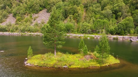 aerial orbit around grassy island in middle of lake with evergreen trees growing high