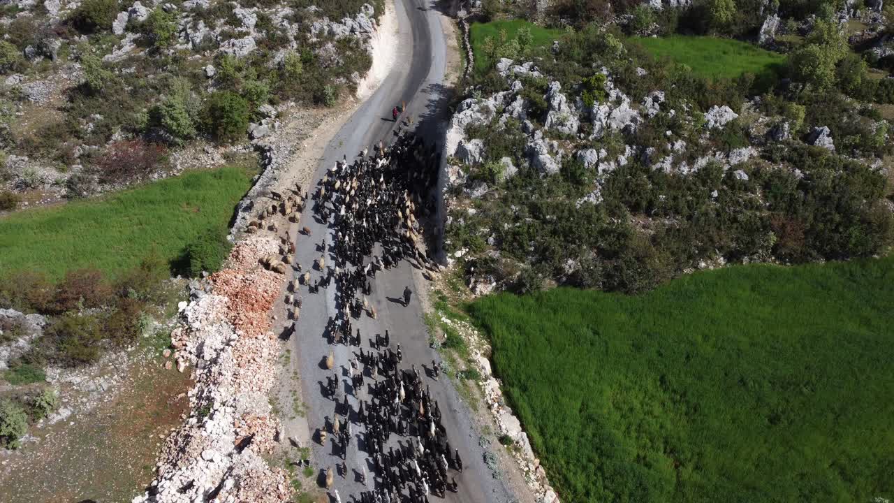 유목민들을 따라다니는 차량