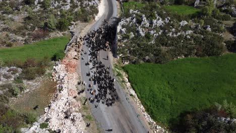 Vehículo-Que-Sigue-A-Los-Nómadas