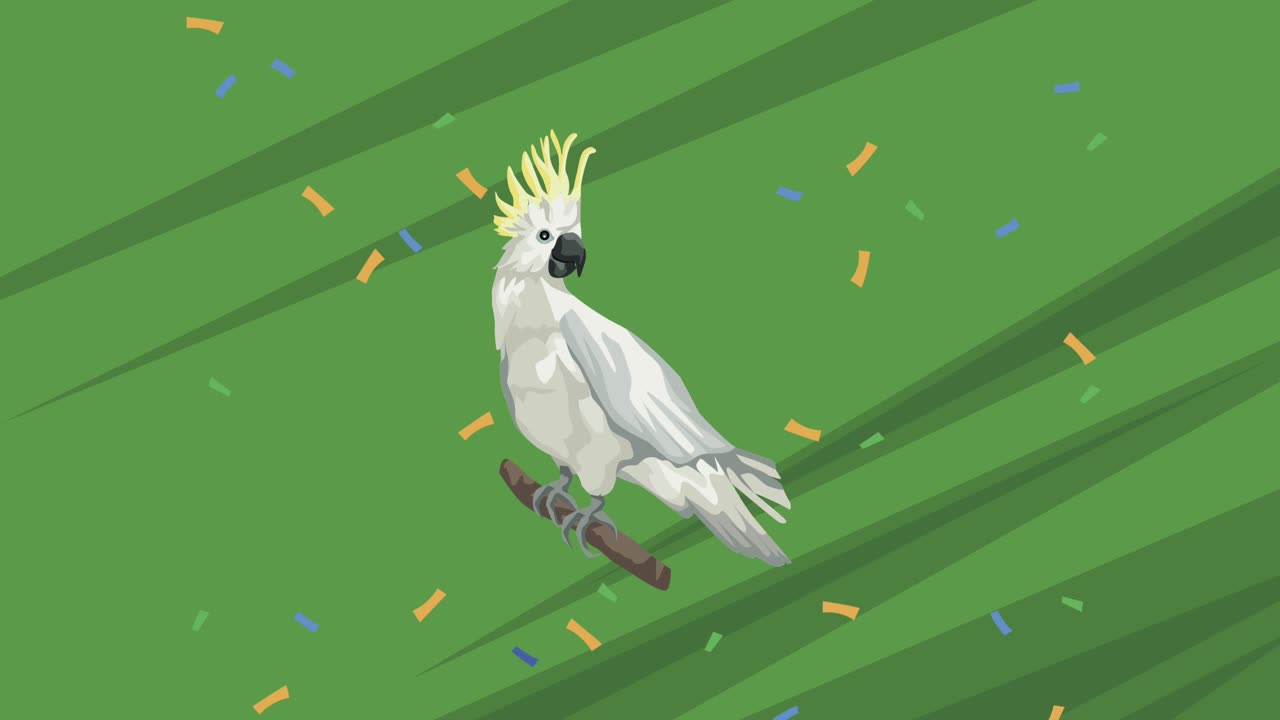 animación de animales exóticos como las cacatúas