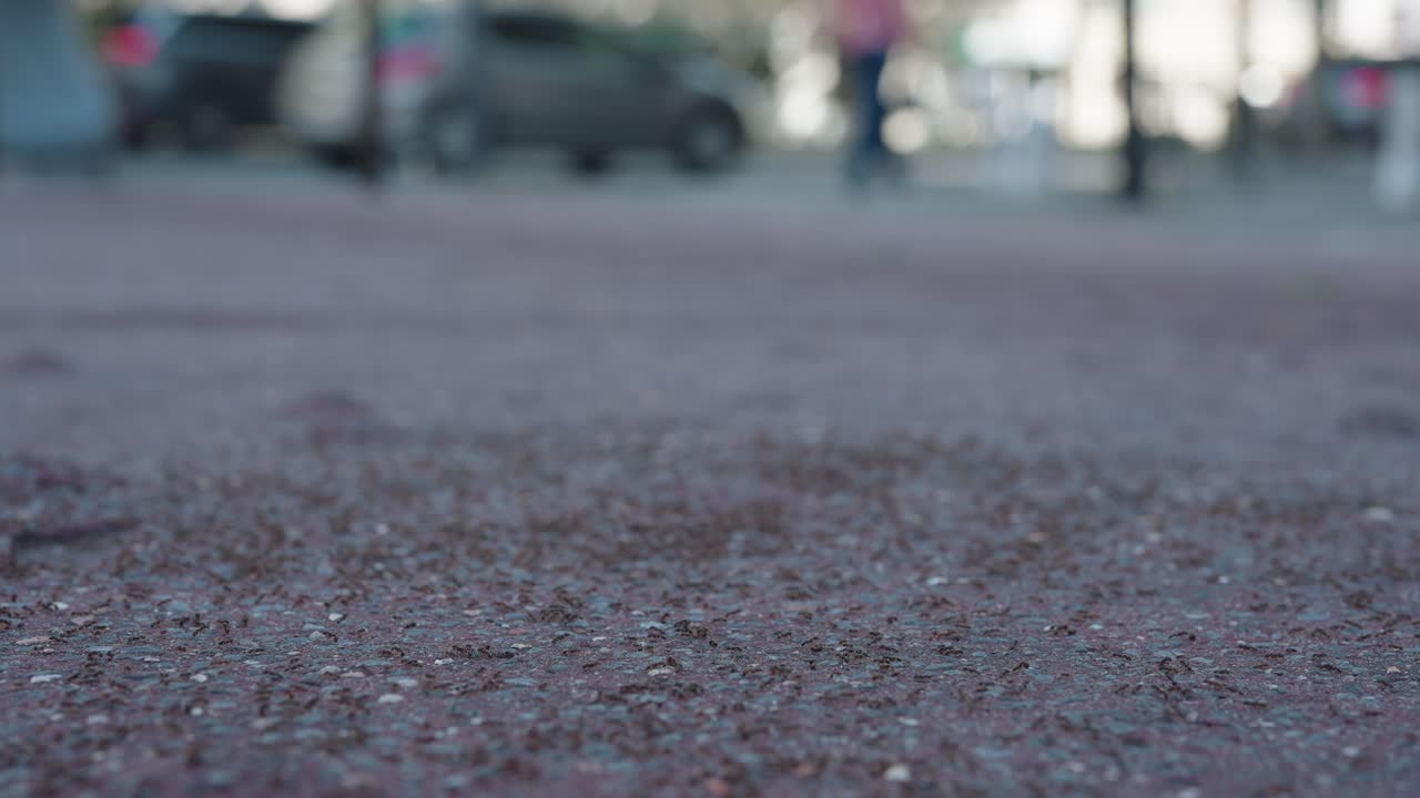 Close up shots of a street filled with millions of red ants and cars passing in the background