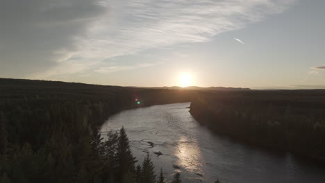 drone shot flying over a calm river in norway during golden hour in between green pine trees on a sunny day log