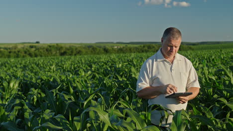 farmer using tablet in cornfield