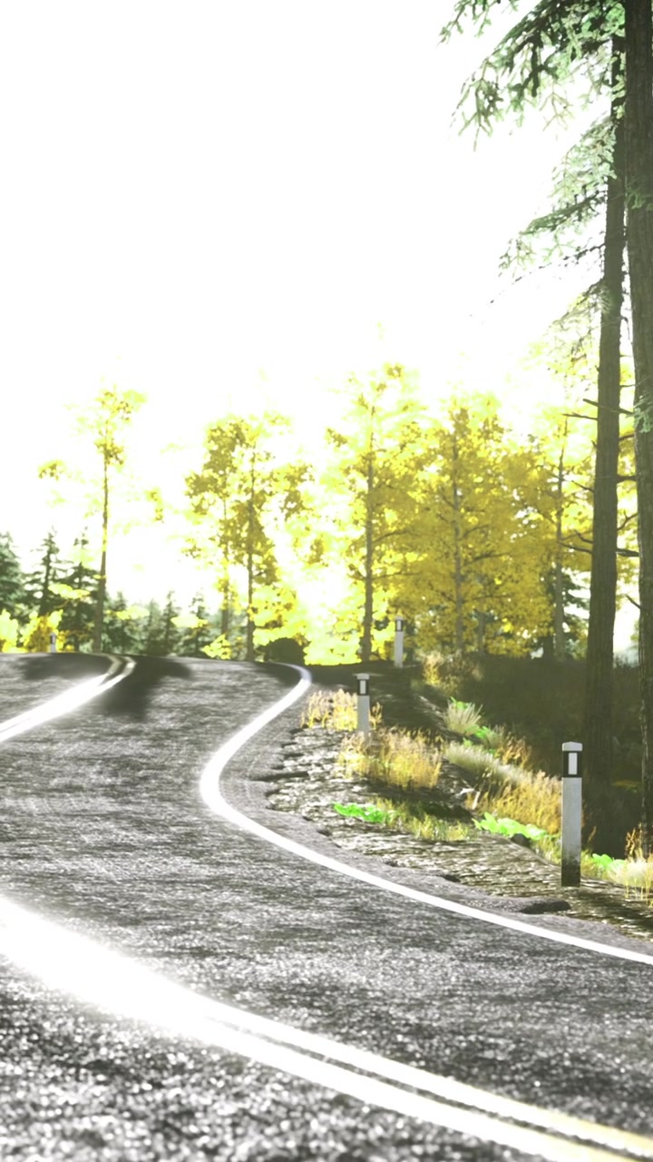 Strada curva attraverso alberi con luce solare intensa in un ambiente boschivo.