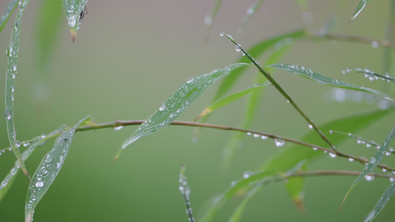 Aftermath rainy weather, seasonal changes Scotland, United Kingdom