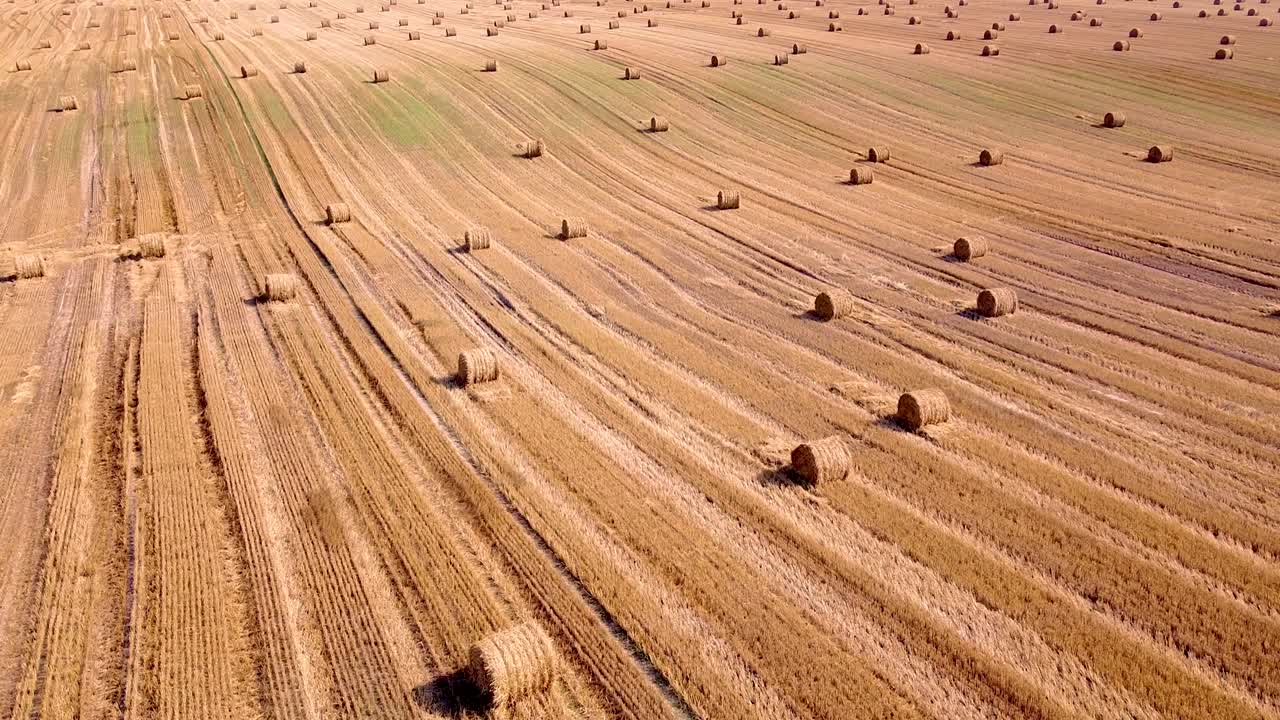 disparo aéreo pasando por un campo cosechado con balas de paja. vista de avión no tripulado.