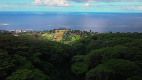 aerial view of lush tropical island coastline