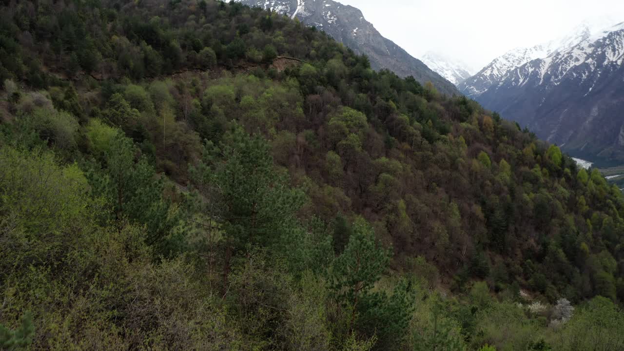 pendiente de montaña pintoresca cubierta de bosque mixto con vistas al valle del río