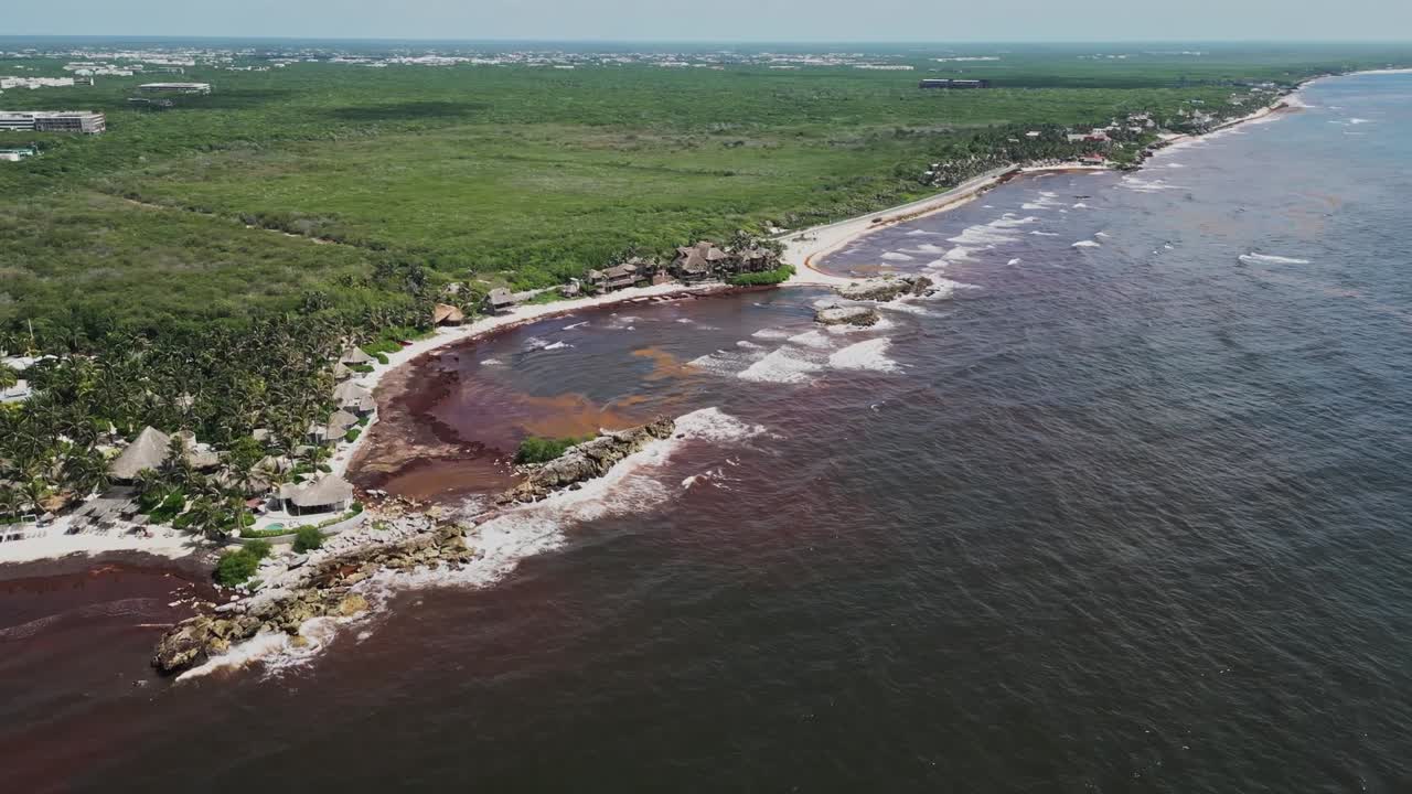 Picturesque paradise shoreline spoiled by brown Sargassum, aerial view