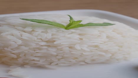 plate of white rice with grilled meat and fries