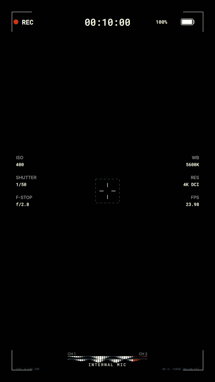 Digital Camera Recording Interface Overlay