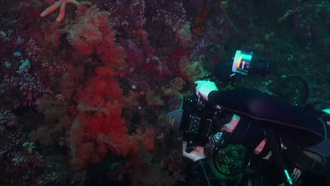 fotógrafo submarino está tomando fotografías de corales blandos en la pared de coral profundo