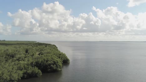 South-Florida-coast-line-with-road-nestled-in-trees,-aerial-view