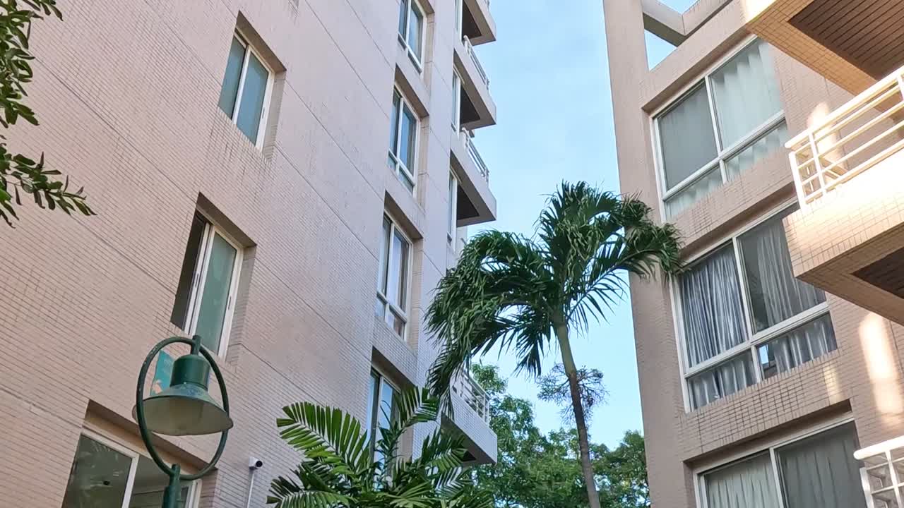 Close-up view of a building facade with palm trees and windows under a clear sky.