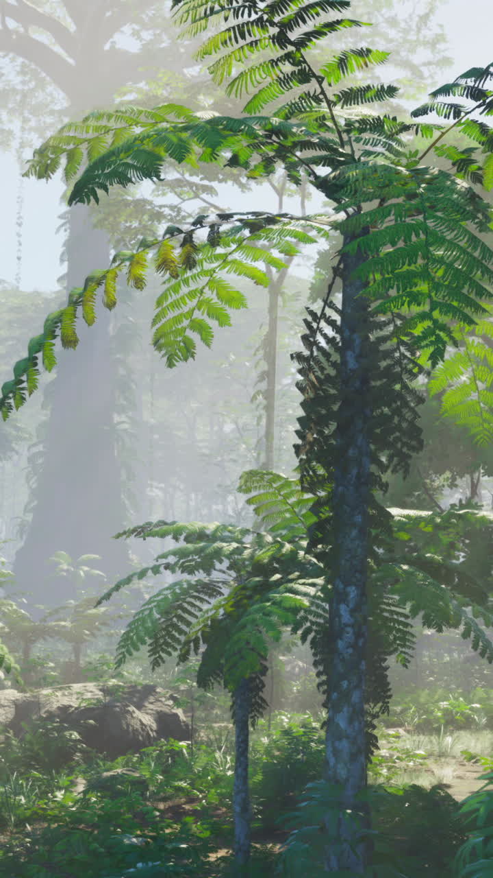 un bosque exuberante y verde con helechos altos y niebla