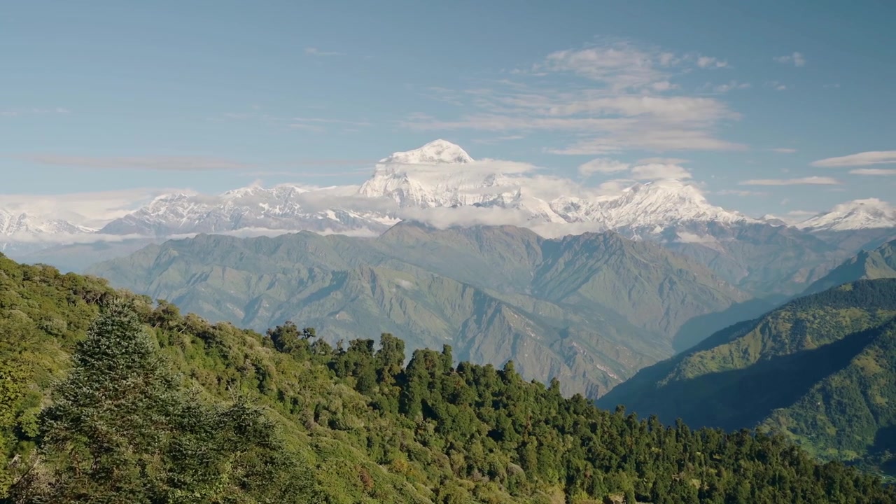 Grønt Himalaya-fjellandskap i Nepal, frodig fjellandskap med trær i Himalaya-fotene, med snødekte fjell i bakgrunnen på en solrik dag med blå himmel.
