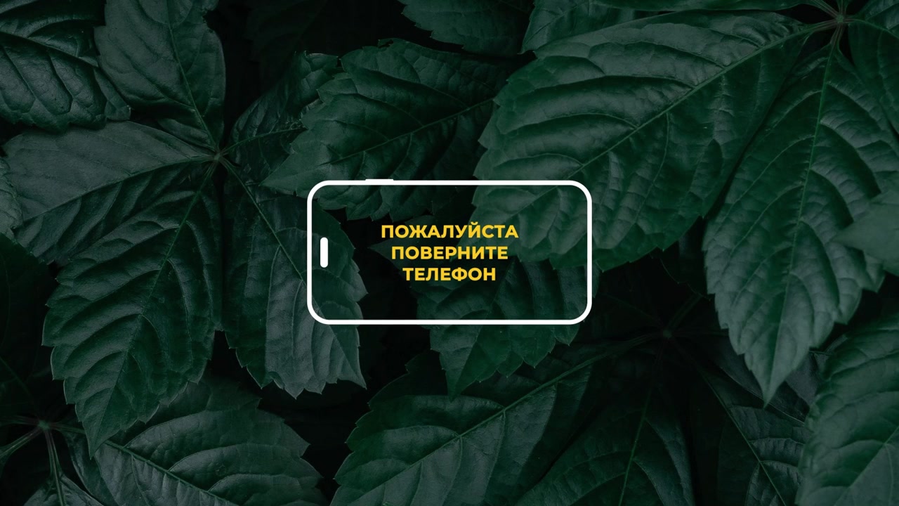 Simple rotate your phone animation for prompting viewers to switch screen orientation in your videos