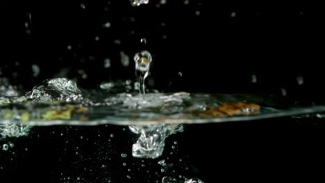 kiwis cayendo en el agua sobre un fondo negro