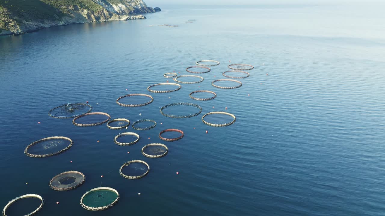 드론으로 바다에서 생선 농장을 찍은 사진입니다.