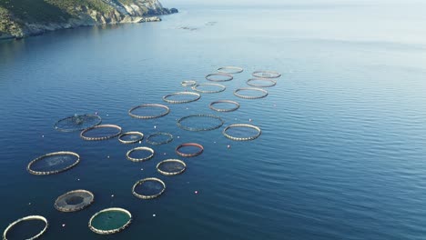 drone shot of fish farms in the sea.