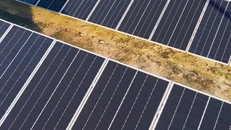 drone footage captures solar panels in a sunlit farm, highlighting renewable energy and sustainability with clear skies and vibrant lighting