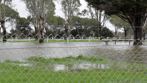 flood waters in a suburban park