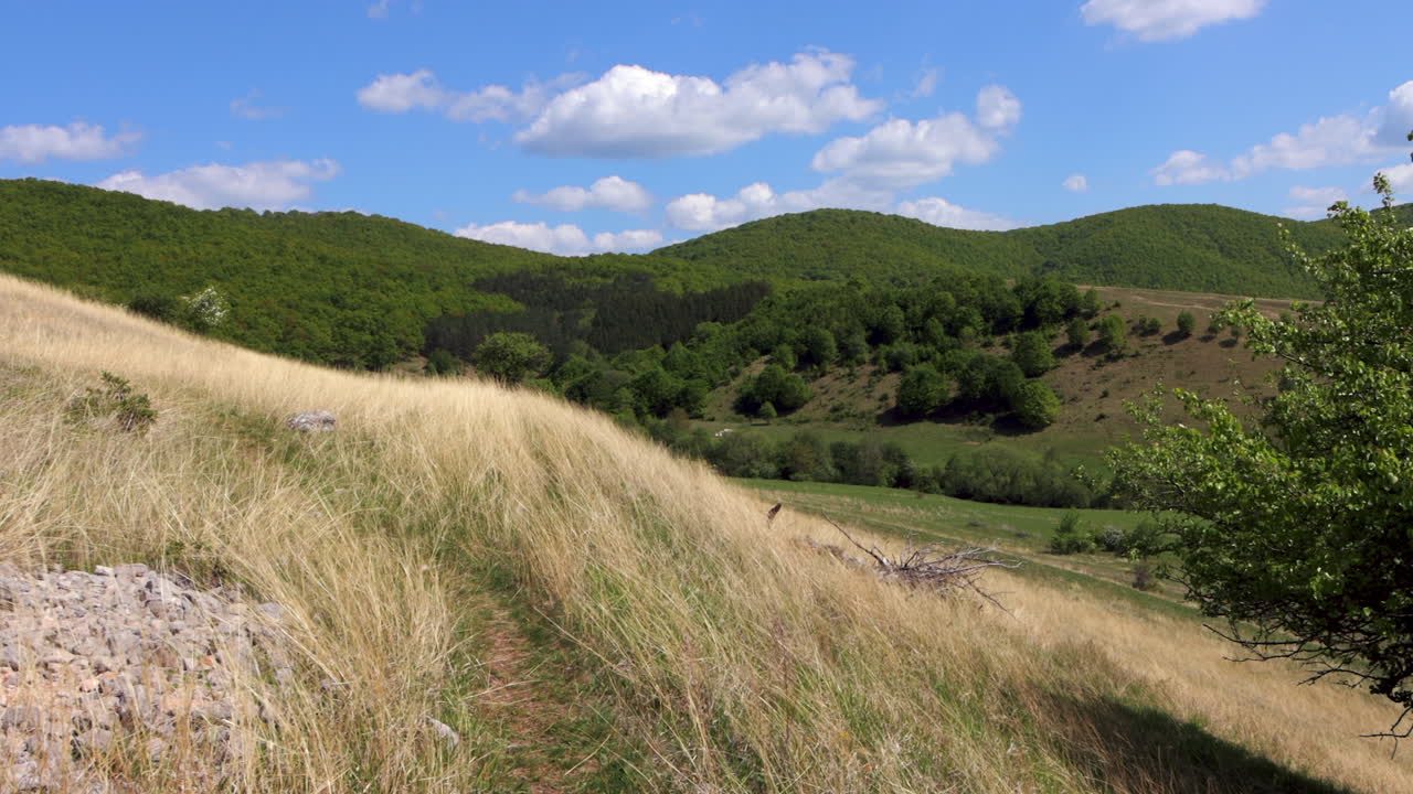 Summer Breeze Over Lush Valley Near Rimetea Torocko In Alba County, Transylvania, Romania. Static Shot