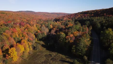 beautiful aerial drone footage of the fall leaves on and around mount hor, mount pisgah, and lake willoughby during peak autumn foliage at willoughby state forest in westmore, vermont