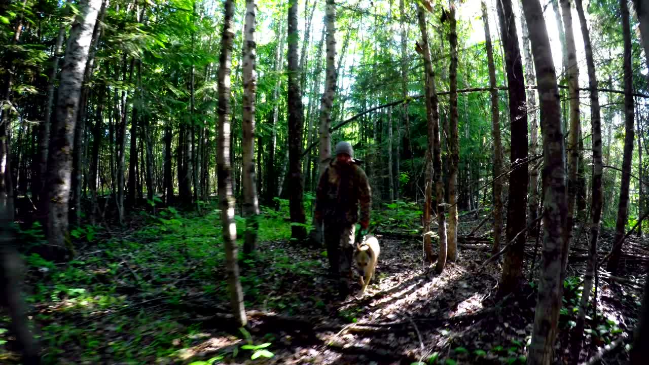Hunter with dog walking through forest 4k