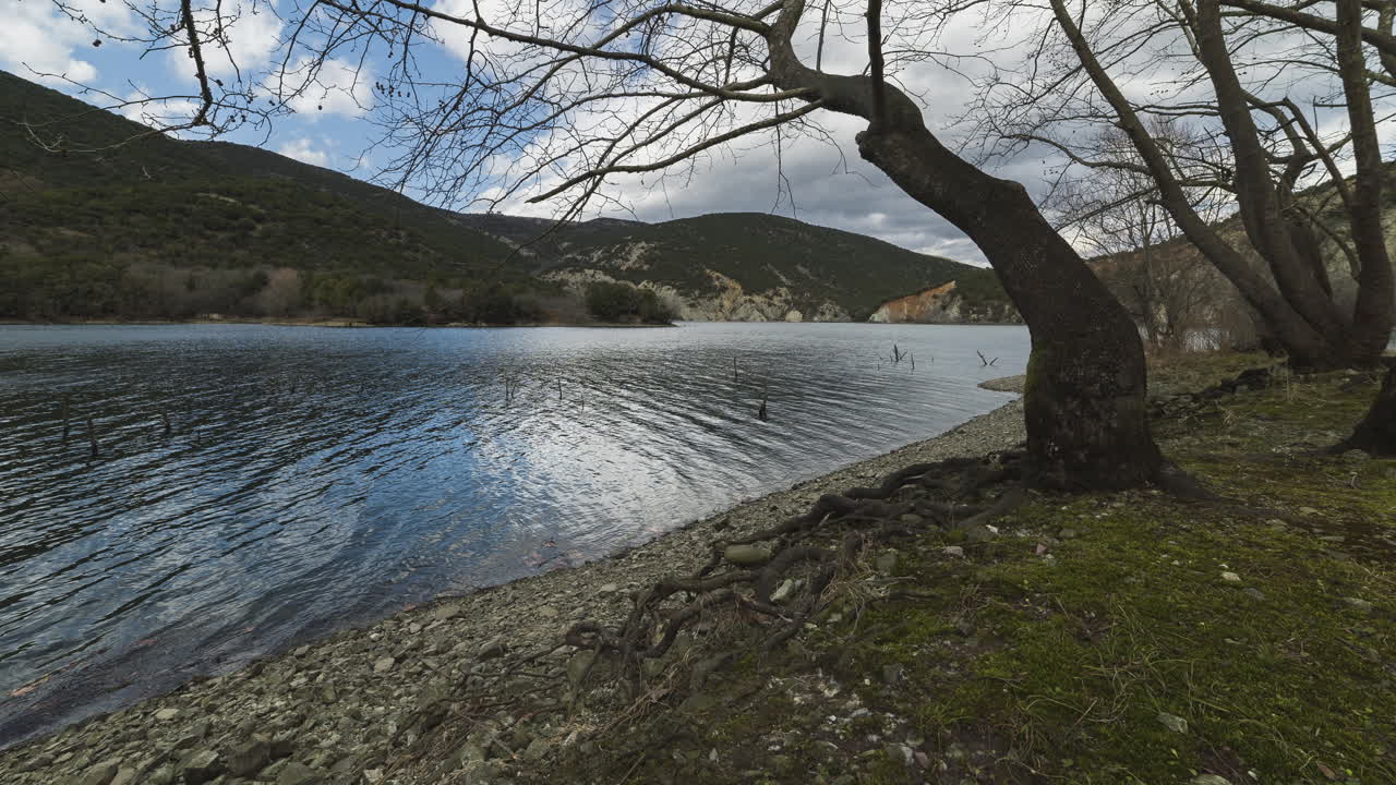호수 여름날 오른쪽으로 회전하는 패닝 근처에서 흐르는 흐름 시간 경과