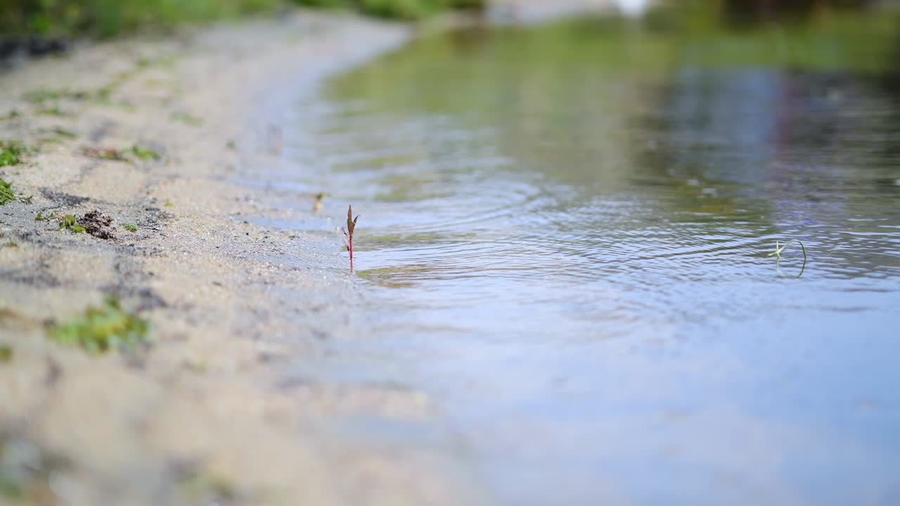 바이칼 호수 연안 근접 사진