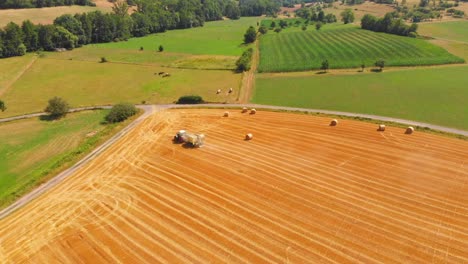 Tractor-Cosechando-Campos-De-Cebada-Madura-Dorada