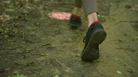 close up of sportswoman legs running in the forest 1