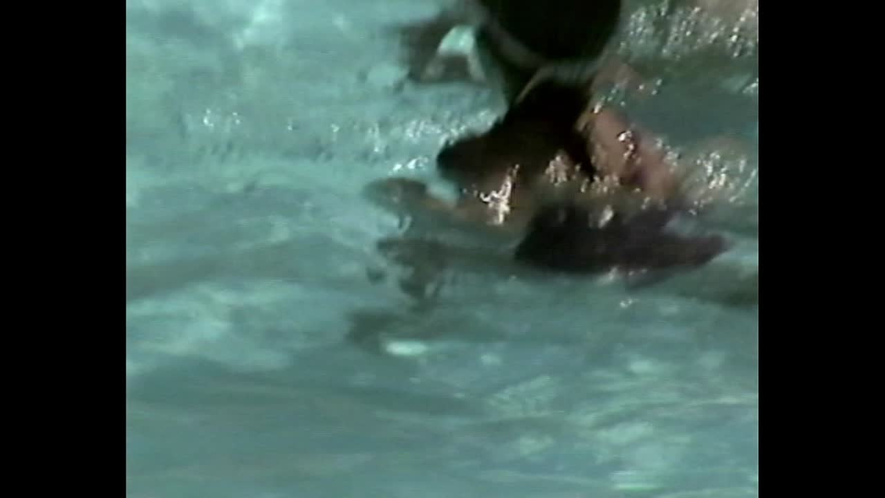 Family swimming in a pool