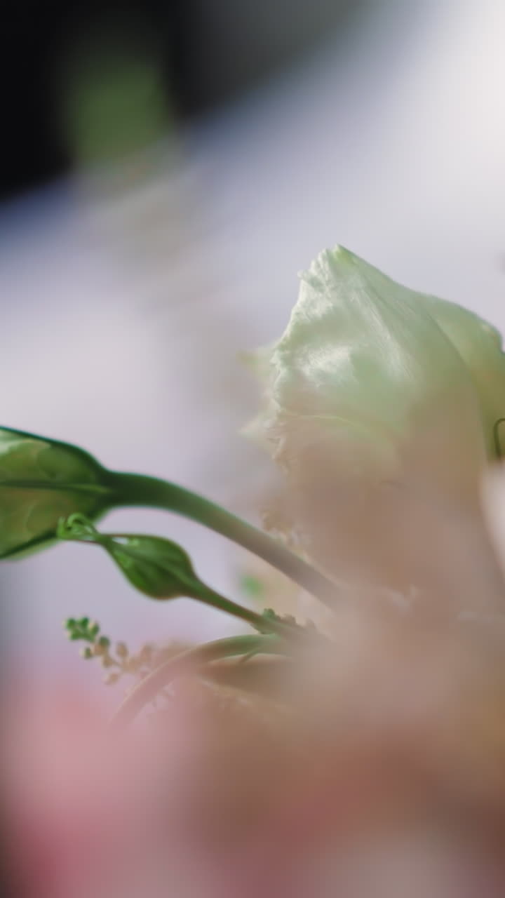Wedding bouquet with eustomas and lush leaves in floral studio closeup. Holiday wedding ceremony decoration. Floral ornate service for bridal event