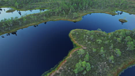a large body of water surrounded by lush green trees