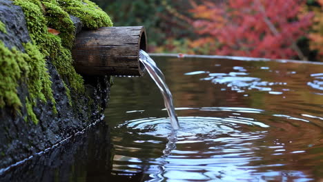 water feature in a japanese garden