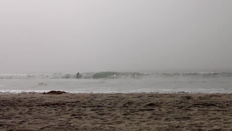 surfista en venice beach, ca en una gruesa capa marina