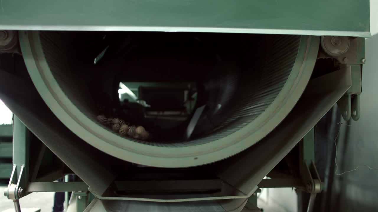 máquina para descascarar conos. equipo para procesar conos de árboles coníferos