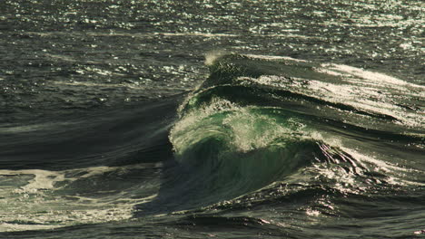 dark slow motion wave moves forward with highlights catching on foam and golden mist trails