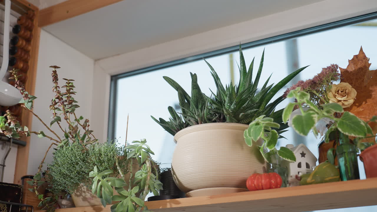 Potted flowers and greenery arranged on wooden kitchen shelf with decorative items including miniature house, ceramic pumpkin, dried leaves, and utensils like ladle and cutting board