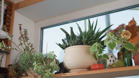 potted flowers and greenery arranged on wooden kitchen shelf with decorative items including miniature house, ceramic pumpkin, dried leaves, and utensils like ladle and cutting board