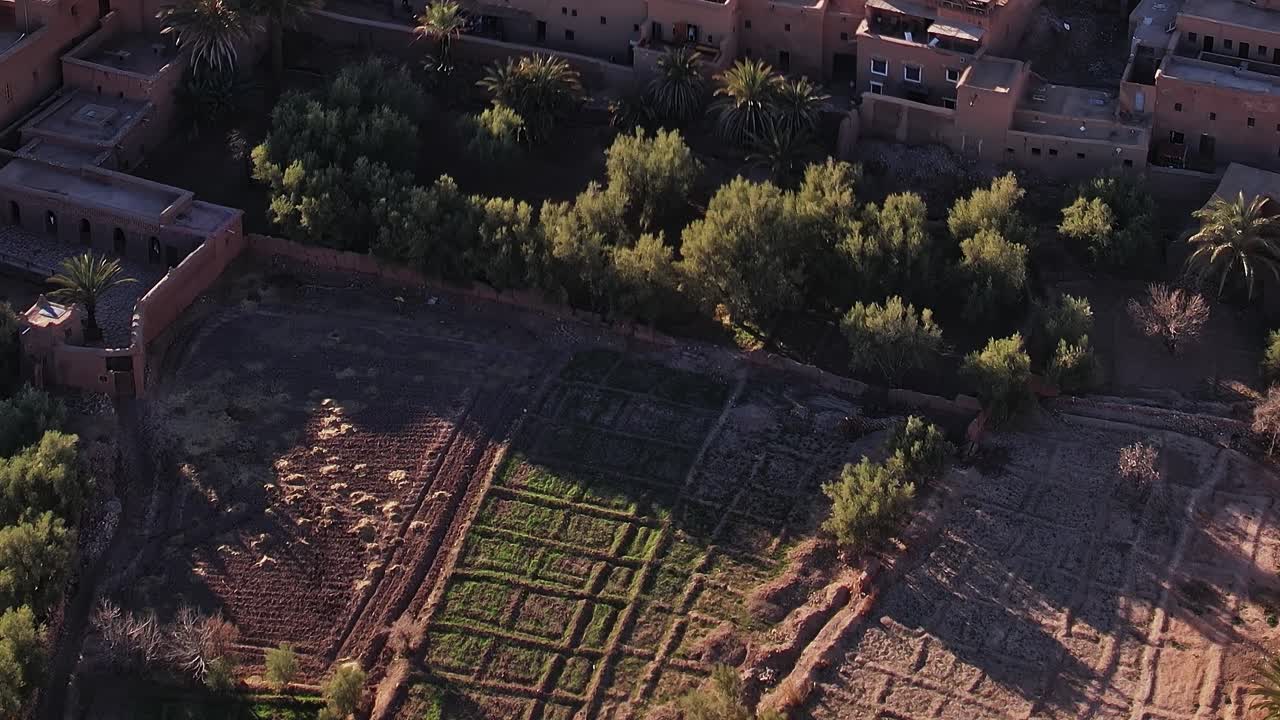 Veduta aerea di un sito storico in Marocco con campi e palme
