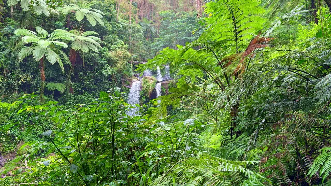 Atemberaubende tropische Waldlandschaft mit einem mehrstufigen Wasserfall, der inmitten üppigen Grüns versteckt liegt. Die Gegend ist voll von üppigen Pflanzen, hohen Farnen und beruhigenden Naturgeräuschen