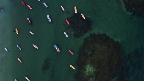 Vista-De-Pájaro-De-Arriba-Hacia-Abajo-Toma-Aérea-De-Aviones-No-Tripulados-Que-Pasa-Sobre-Aguas-Verdes-Cristalinas-Con-Veleros-Anclados,-Rocas-Y-Algas-Marinas-Debajo-En-Porto-De-Galinhas-O-Playa-De-Puerto-De-Pollo-En-Pernambuco,-Brasil