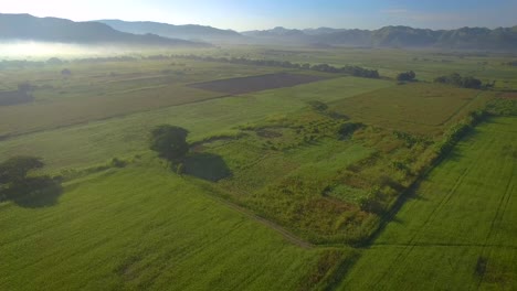 Drone-view-of-a-beautiful-green-field-during-the-sunrise